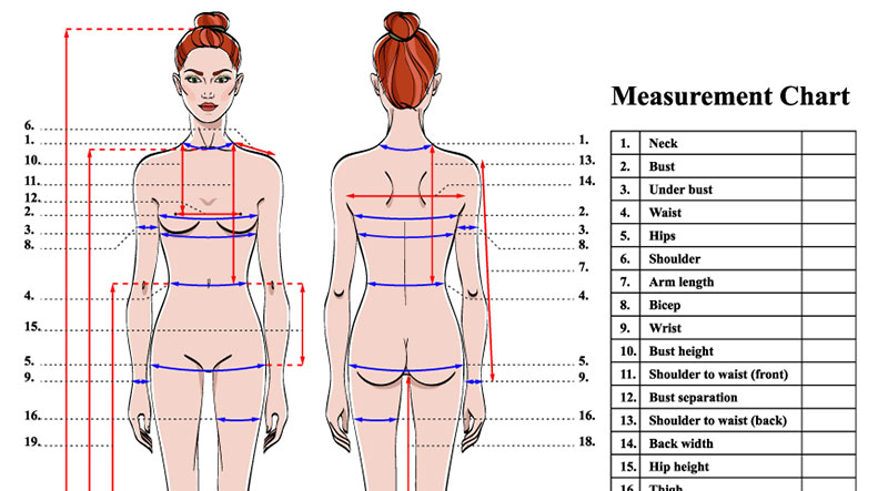 photo of a measuremnt chart created for fashion